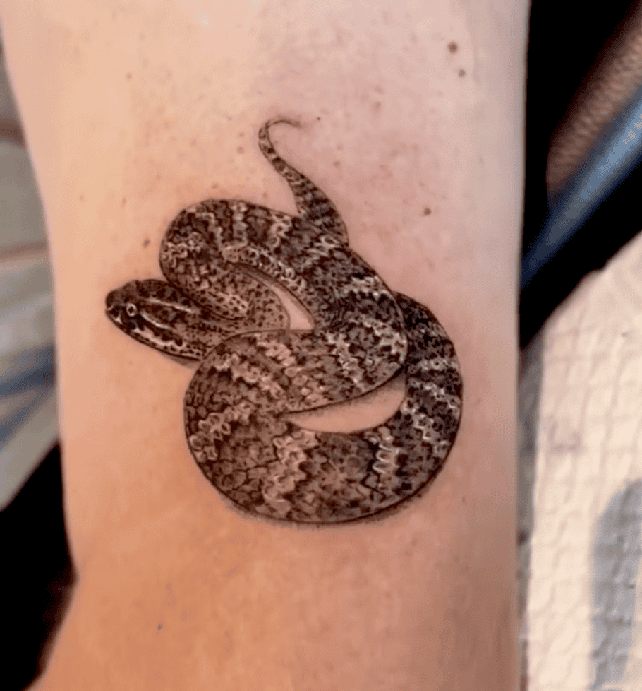 Death Adder Snake Tattoo