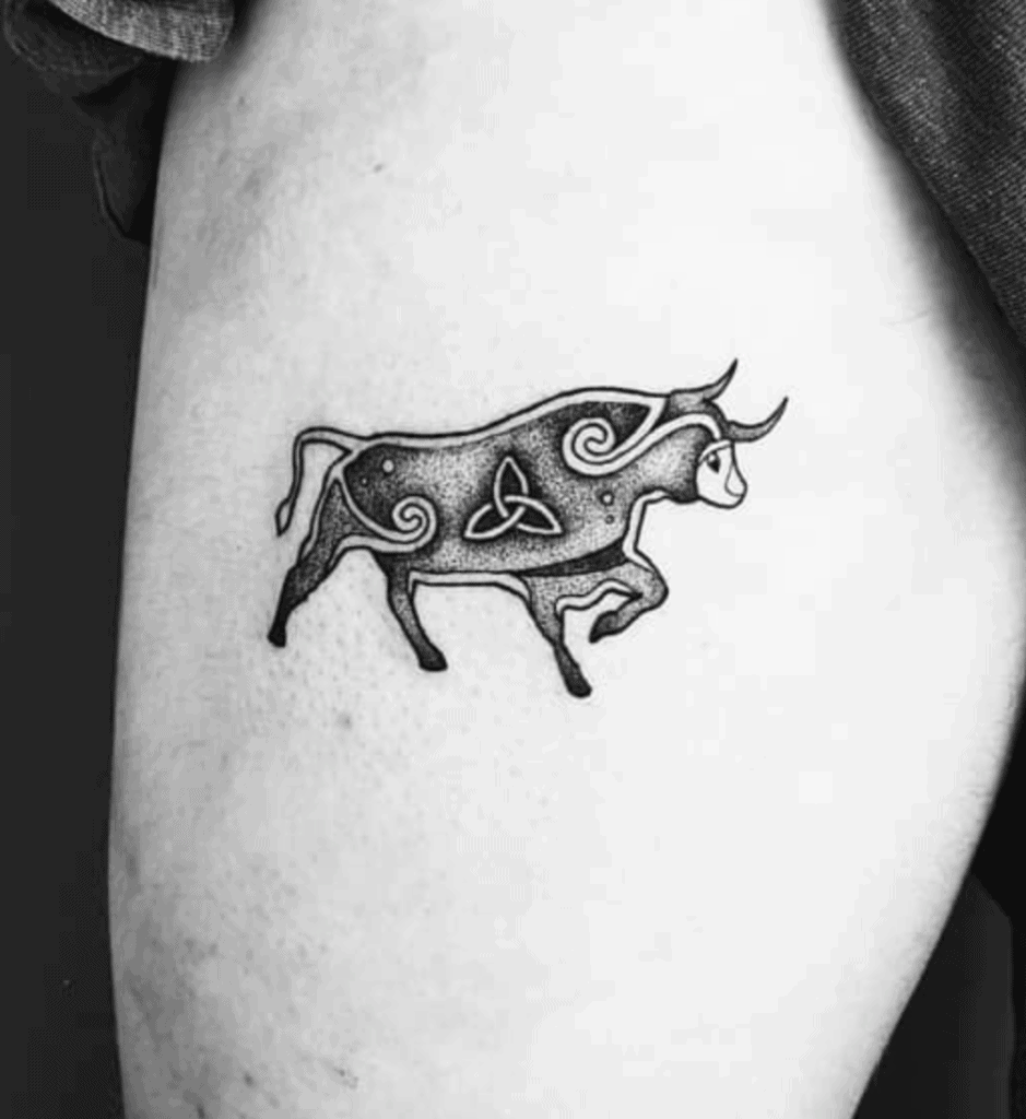 Donn Cuailnge Bovine Tattoo