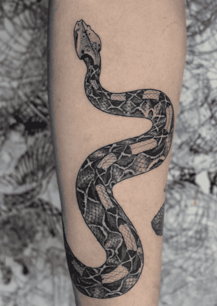 Gaboon Viper Coil Snake Tattoo