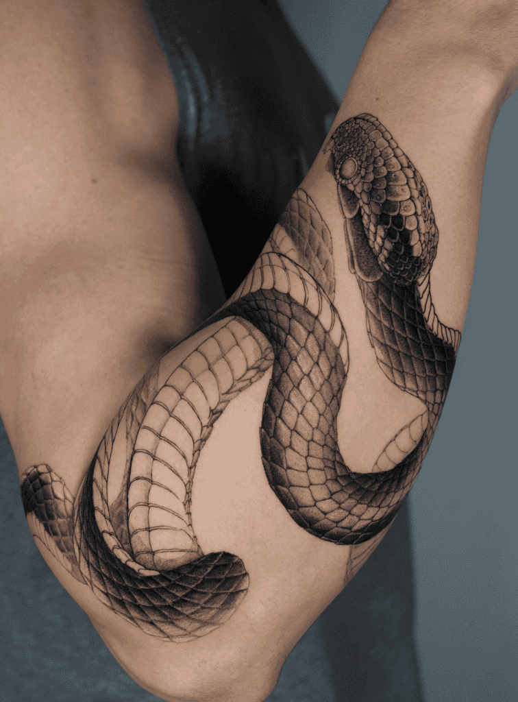 Gaboon Viper Snake Tattoo