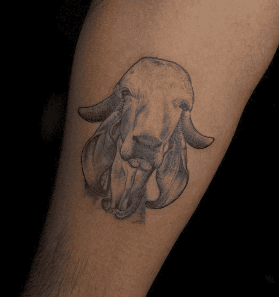 Gir Bovine Tattoo