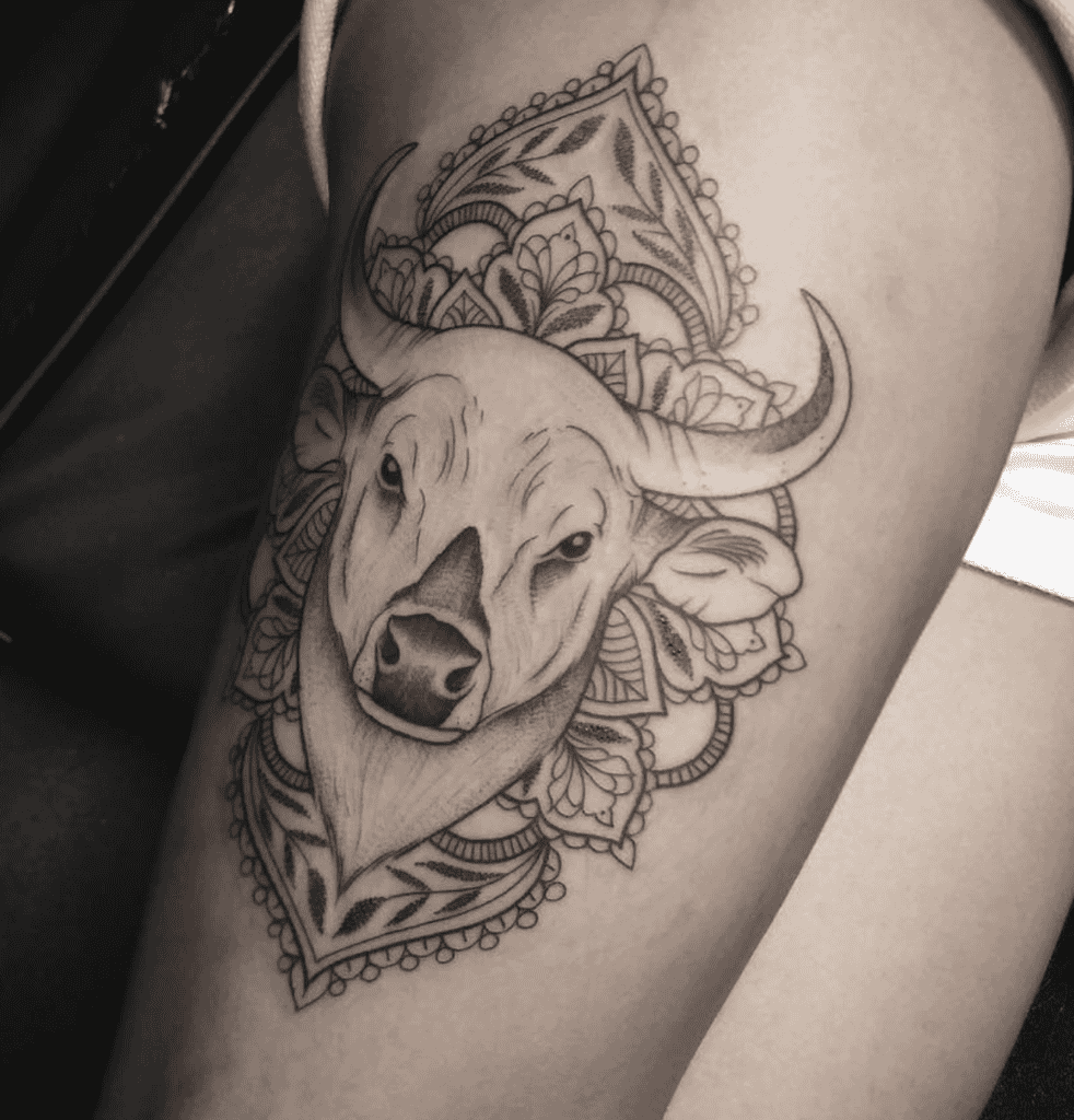 Kouprey Cambodia Bovine Tattoo