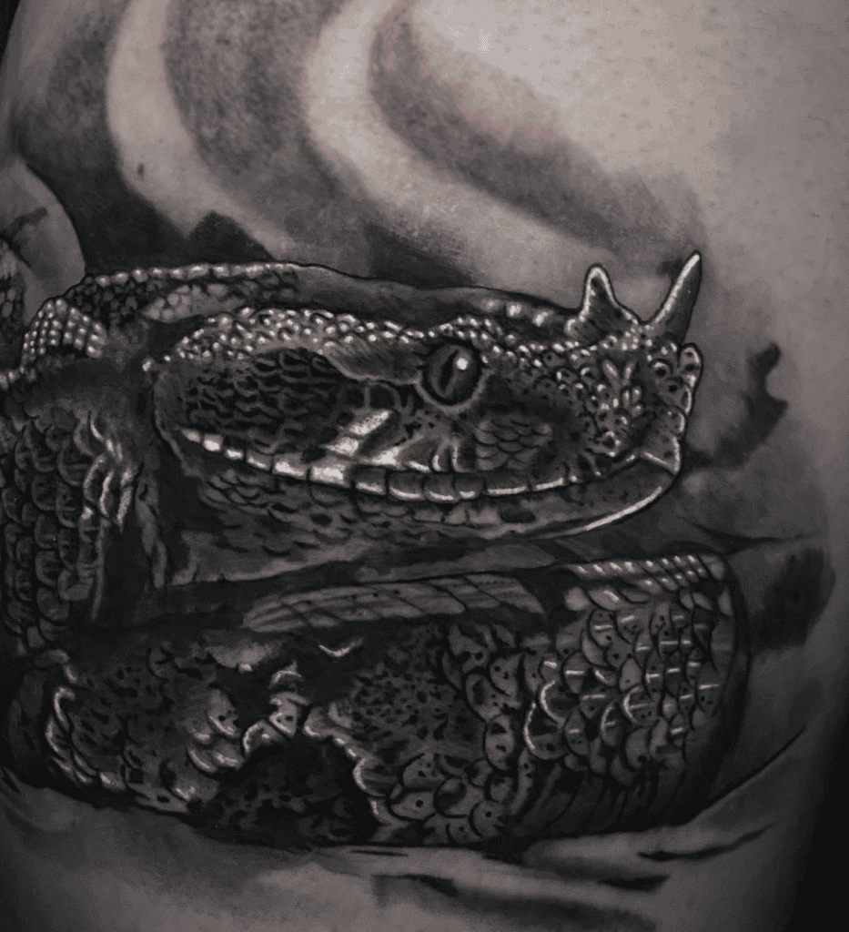 Rhinoceros Viper Head Snake Tattoo