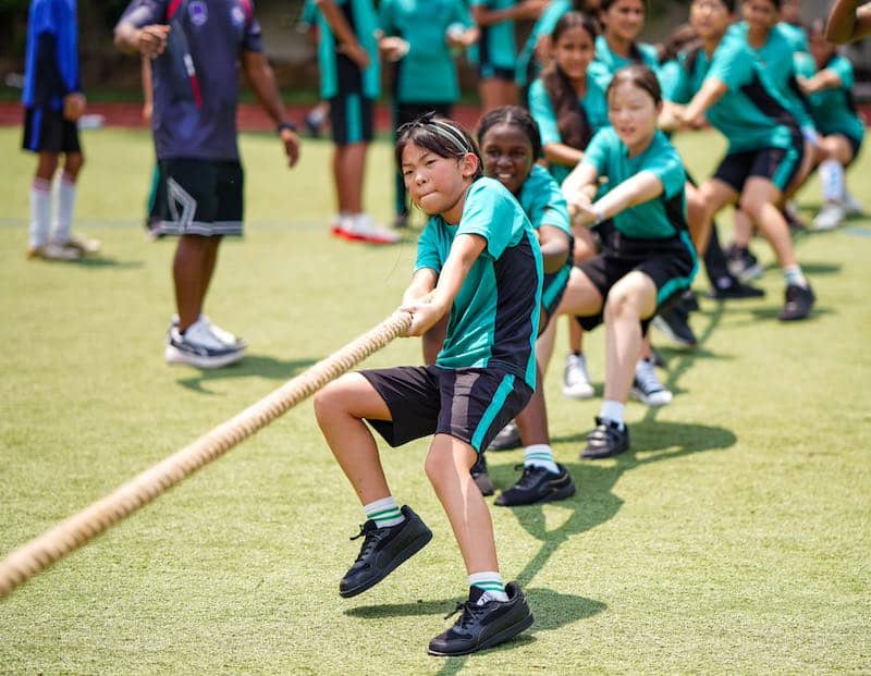 Panthers Sports Festival