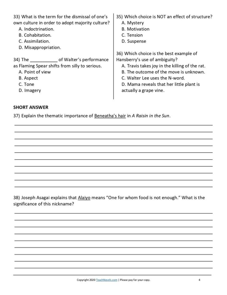 A Raisin in the sun questions and answers