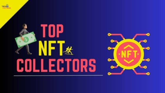 What is NFT Collector
