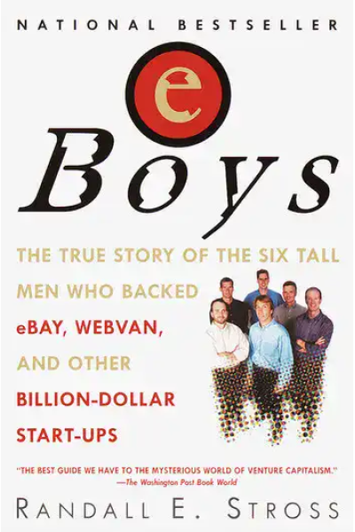 Cover image of eBoys book about venture capitalists and startups.