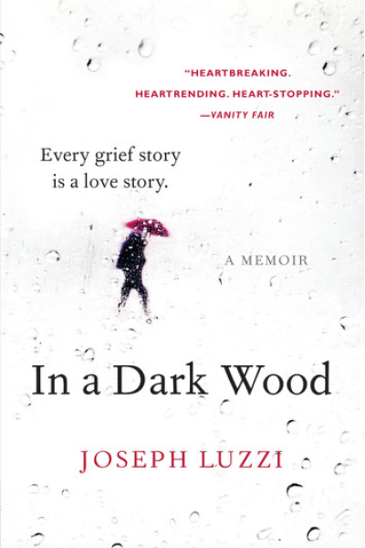 Book cover of In a Dark Wood by Joseph Luzzi with rain and a person holding an umbrella.