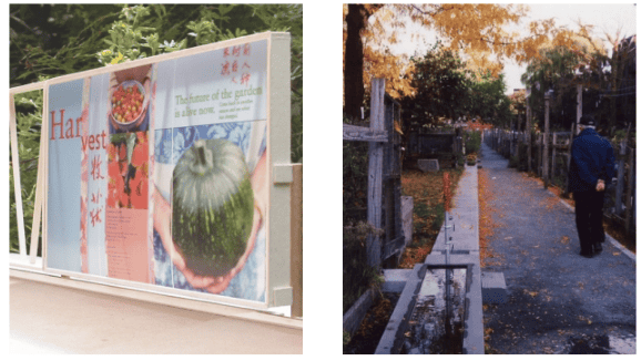 Art installation at Harvard Garden featuring colorful panels and garden themes.