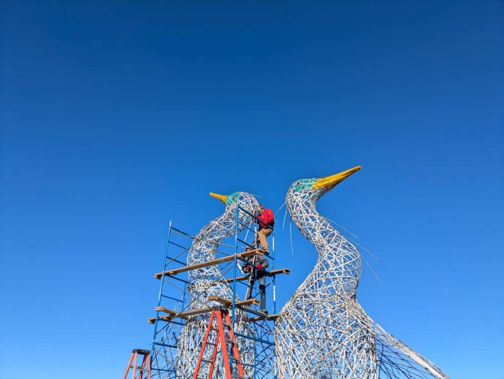 Artist working on a large public art sculpture of two swans with yellow beaks.