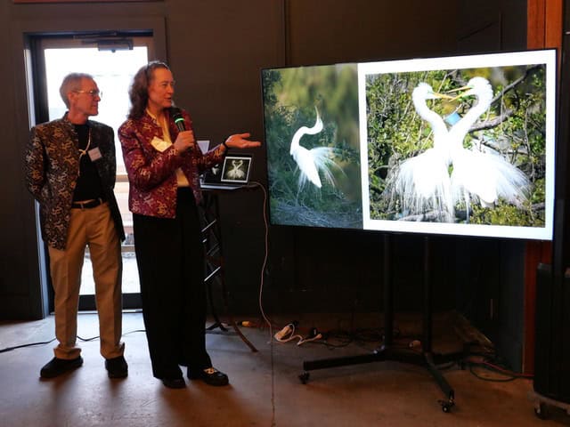 Elegant swan artwork showcased at TEMPOart exhibition.