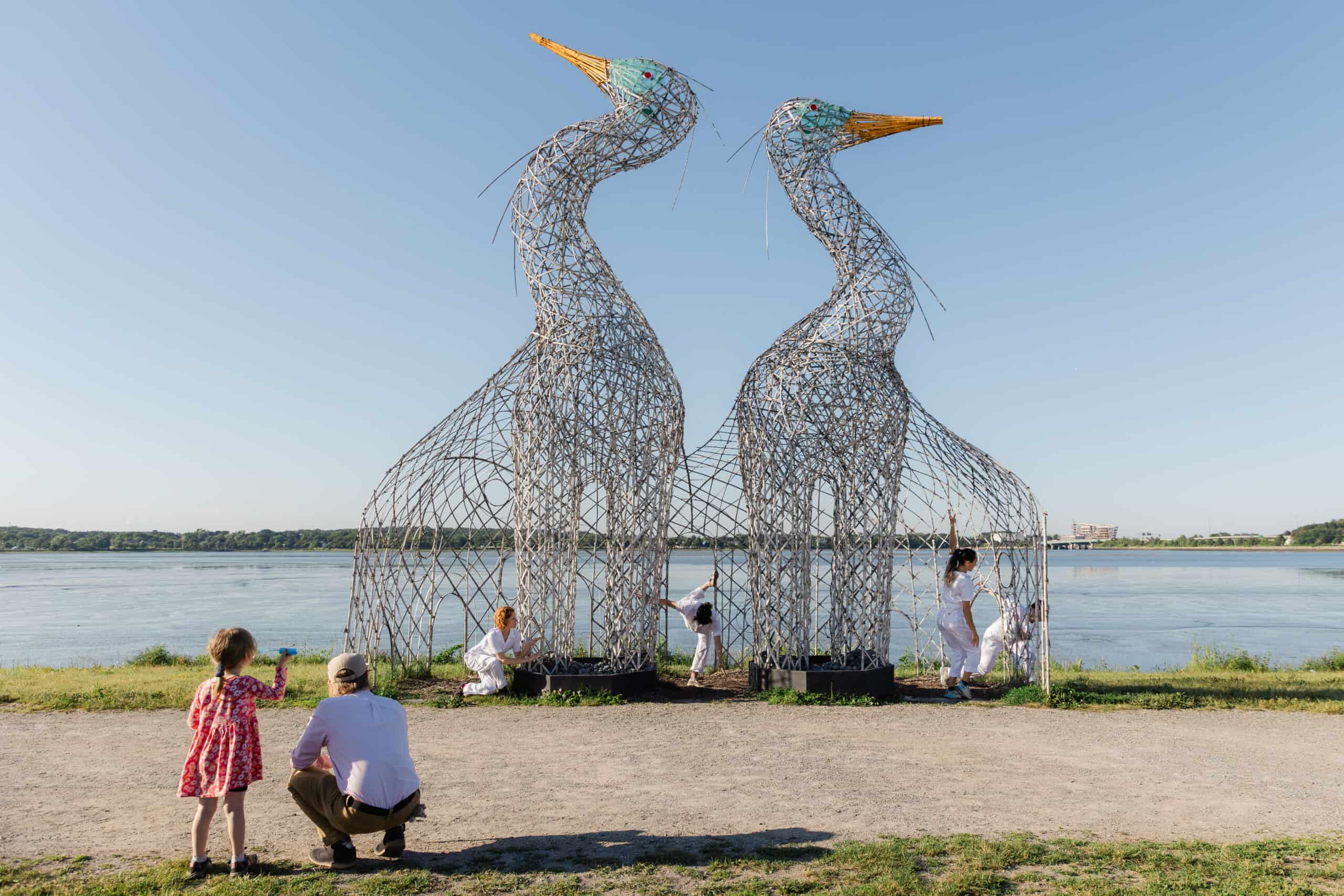 Artistic swan sculptures made of metal wire by the riverbank.