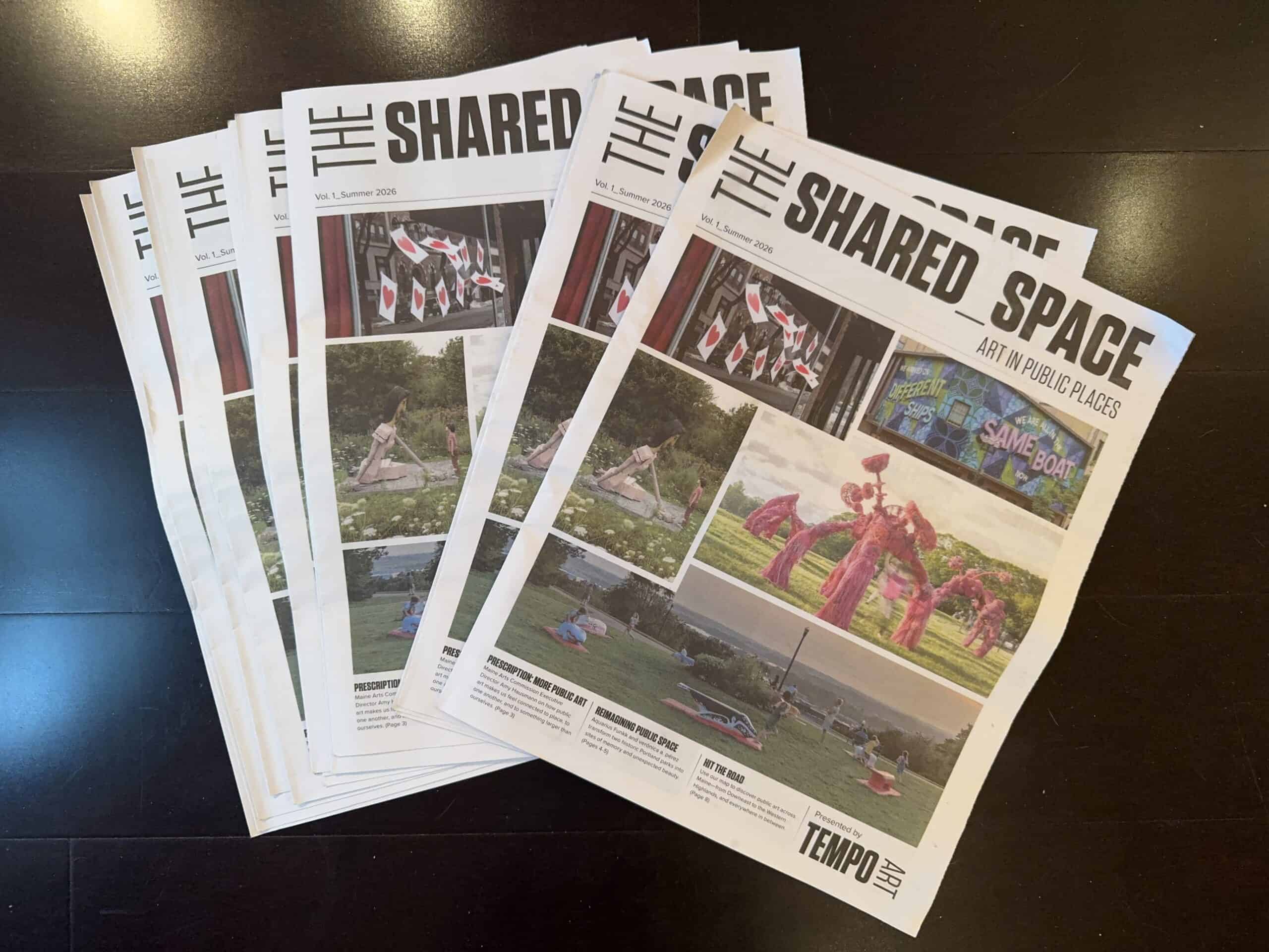Featured image for “The Shared Space”