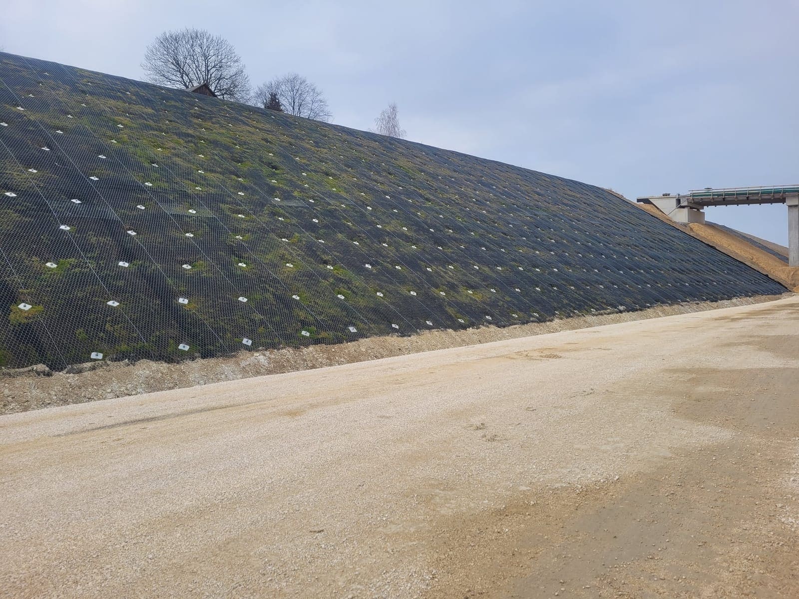 Mata antyerozyjna na nasypie drogowym