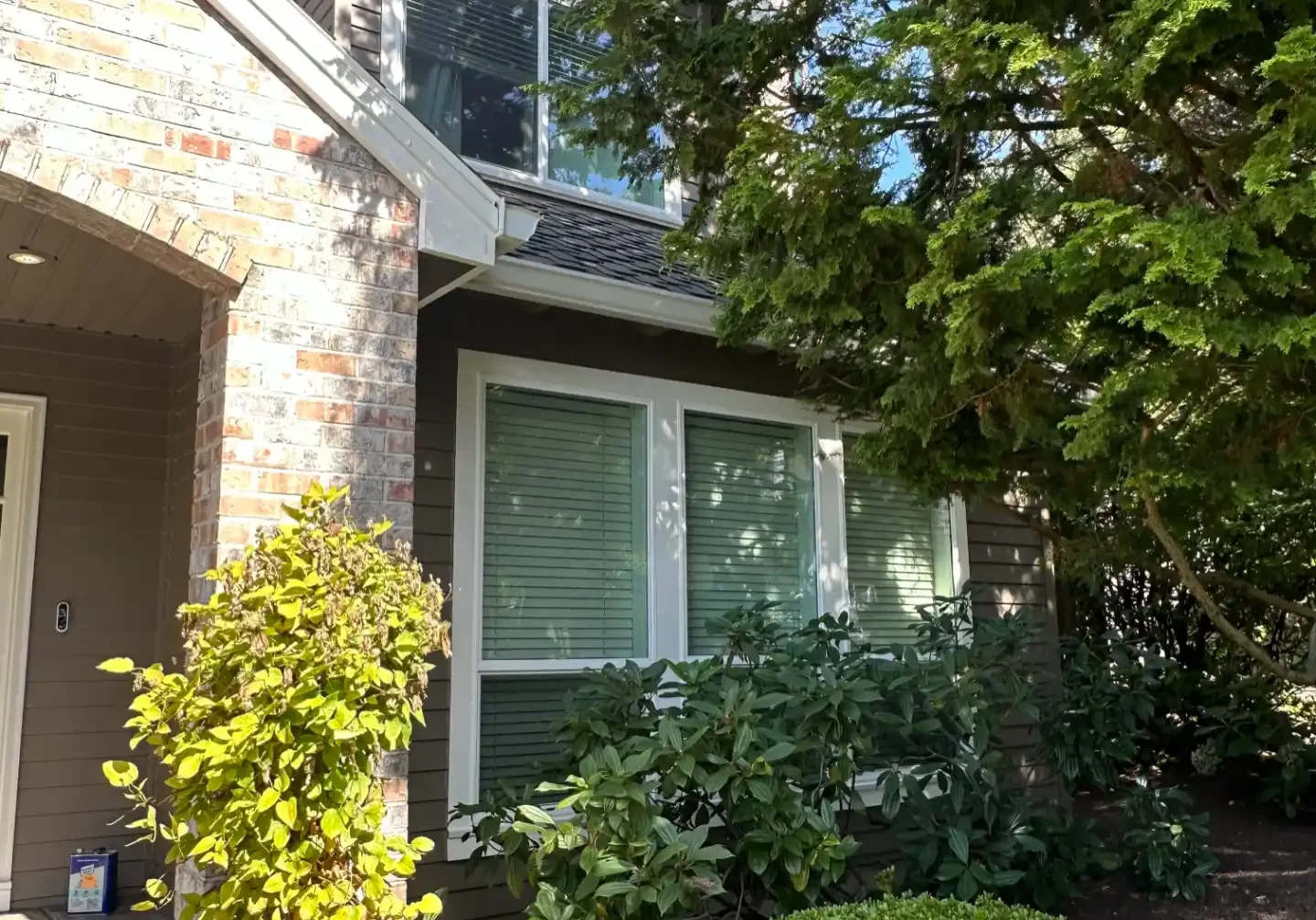 Modern house exterior with large windows and landscaped garden.