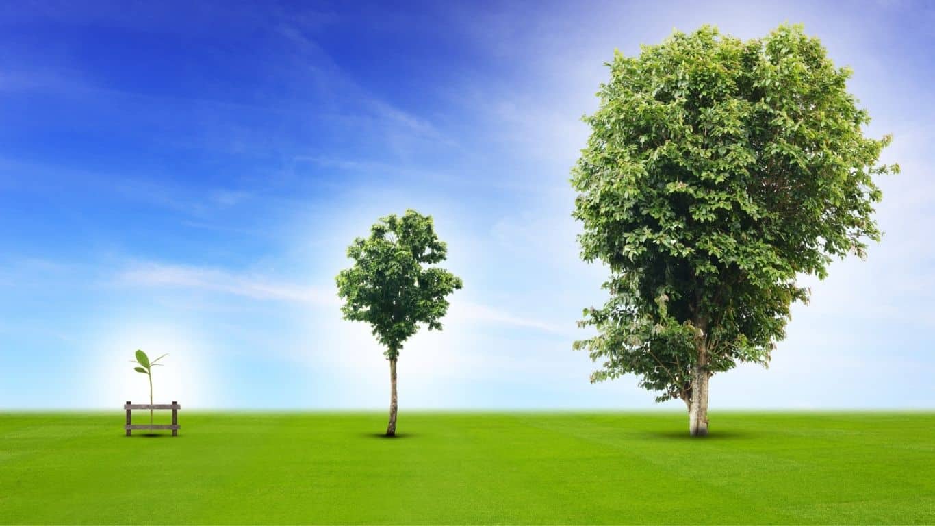 Adapting Nonprofit Skills for 2030: Navigating the Evolutionary Landscape