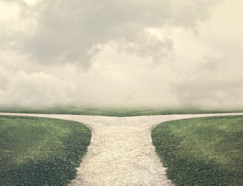 Promote From Within or Hire Externally? Nonprofit Guide