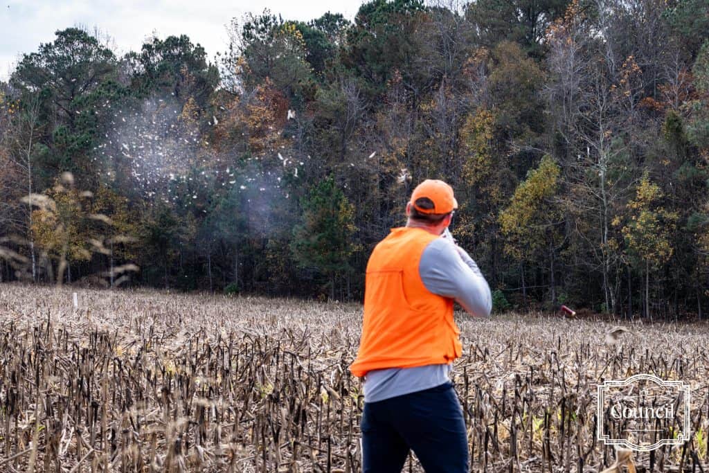 Hunter shooting at Quail during The Council Gun Club Annual Hunt