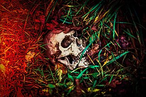 Human skull surrounded by grass and leaves, evoking themes of mortality and the darker side of humanity.