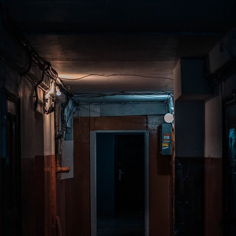 dark corridor entwined with doors to apartments