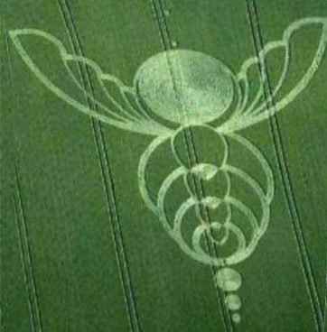 Green crop circle with detailed geometric patterns and a central circular motif.