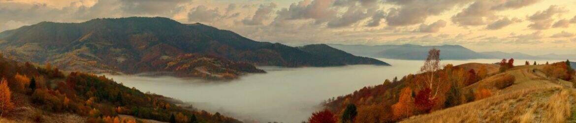 Beautiful autumn landscape with colorful trees and rolling hills at sunset.