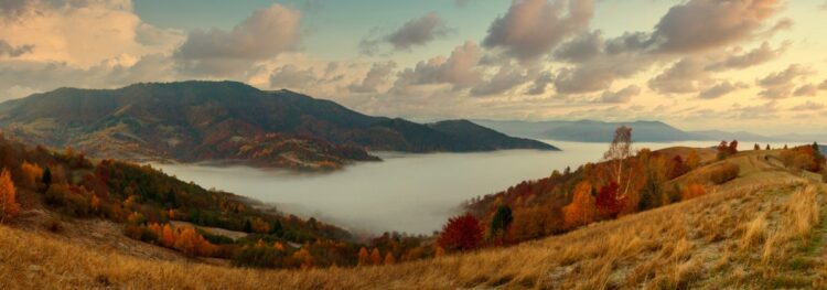 Beautiful autumn landscape with colorful trees and rolling hills at sunset.