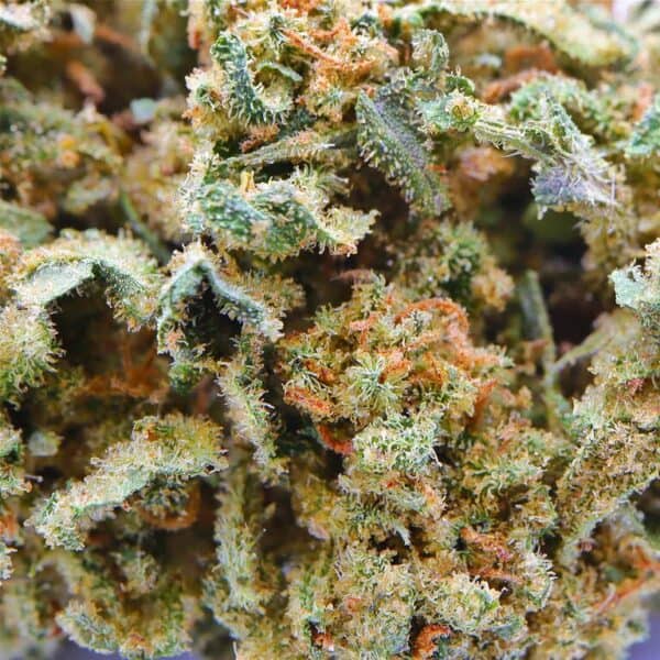 Juicy Fruit CBD Flower - 5G - Image 2