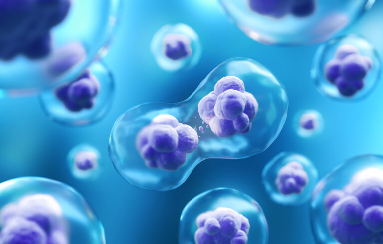 Amniotic Stem Cells Facts vs. Fiction