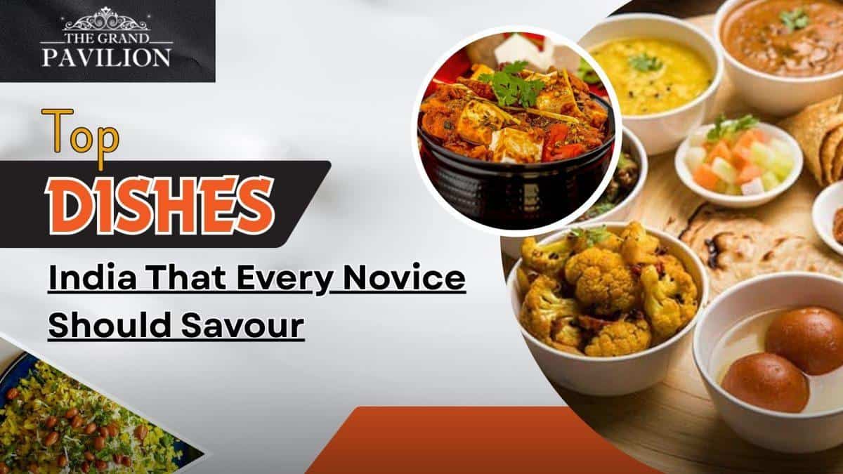 Flavorful Indian dishes featuring paneer, cauliflower, and eggs, perfect for food lovers and spice enthusiasts.