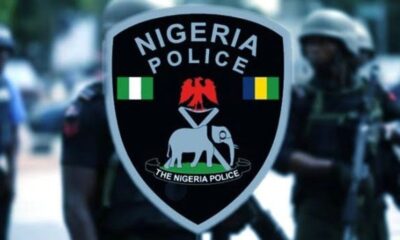 Ogun Police Nab Lowe