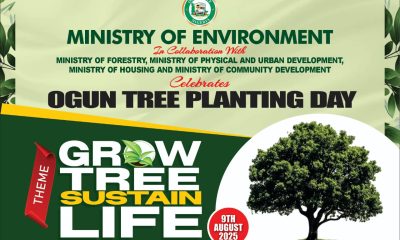 Ogun State Tree Planting
