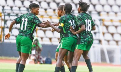 Falconets