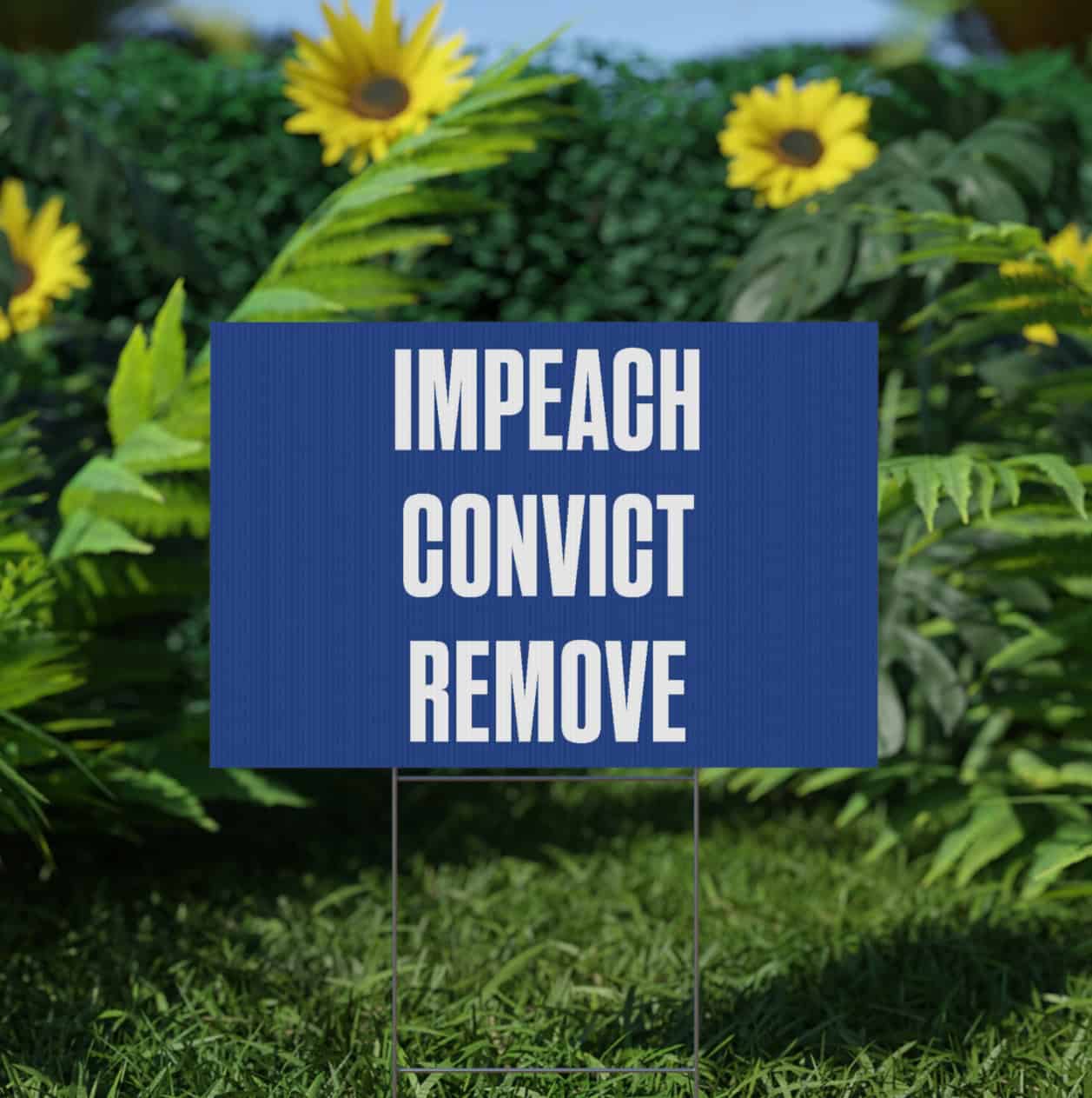 Impeach Convict Remove Lawn Sign
