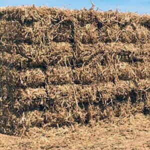 Pea Straw Bales