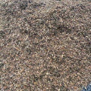 Playground Mulch