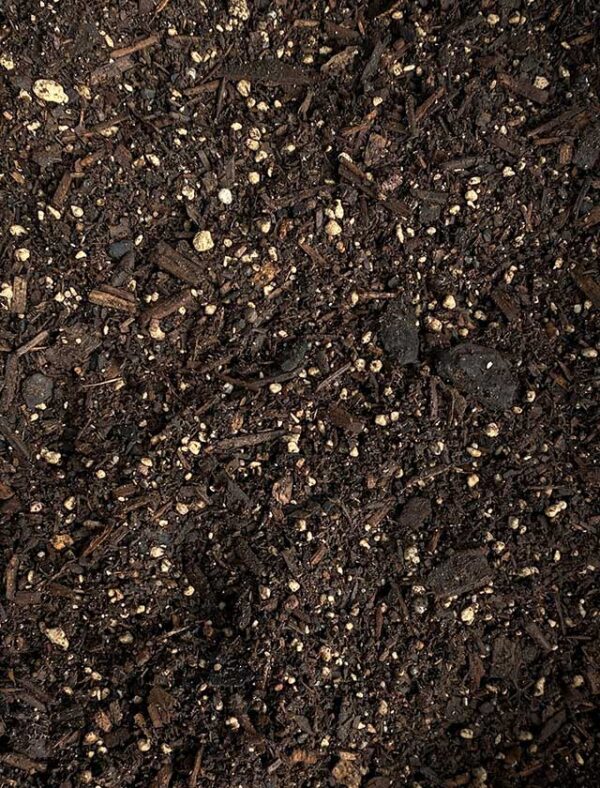 Potting-Mix