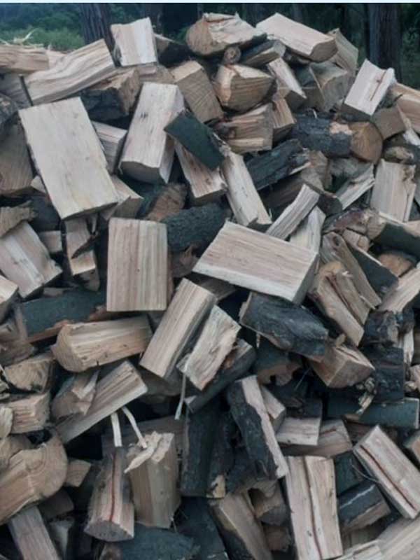 Unseasoned Pine Firewood
