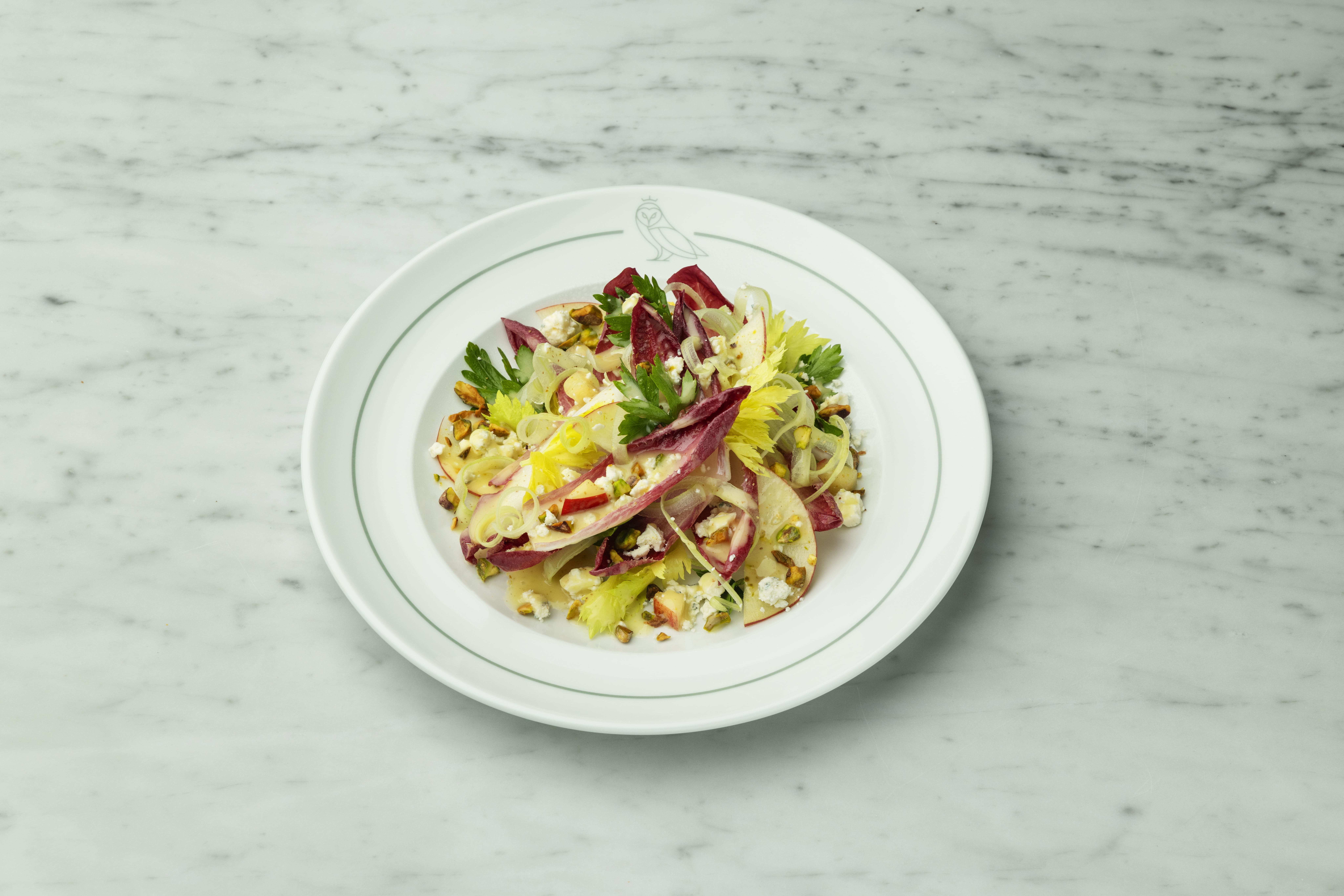 A fresh, vibrant salad featuring red radicchio and light green celery hearts, tossed with nuts and cheese, and dressed lightly. It is served on a white plate with an owl logo.