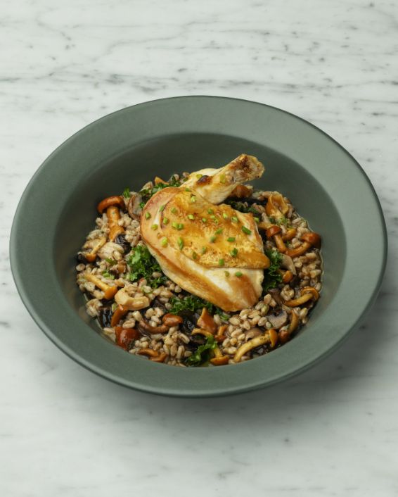 A main course of pan-roasted chicken breast with the bone in, served over a bed of farro mixed with sautéed wild mushrooms and kale, presented in a matte gray-green bowl.