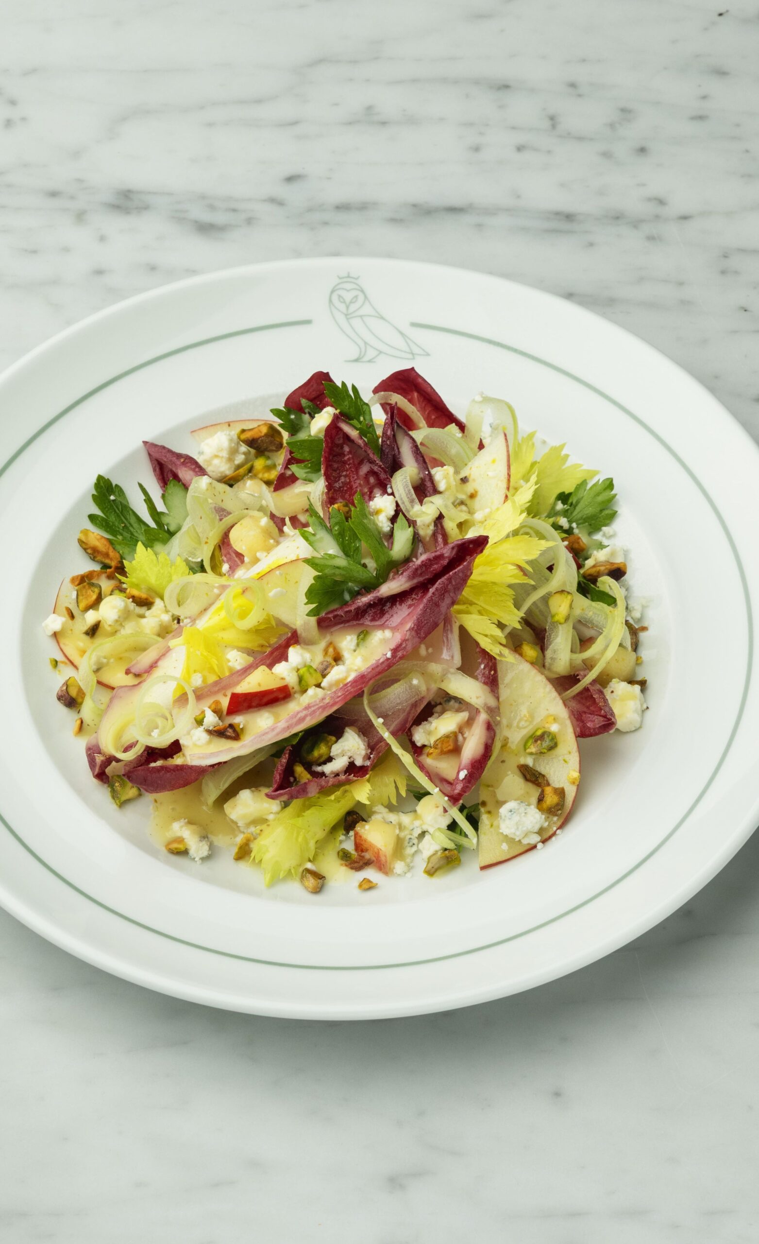 A fresh, vibrant salad featuring red radicchio and light green celery hearts, tossed with nuts and cheese, and dressed lightly. It is served on a white plate with an owl logo.