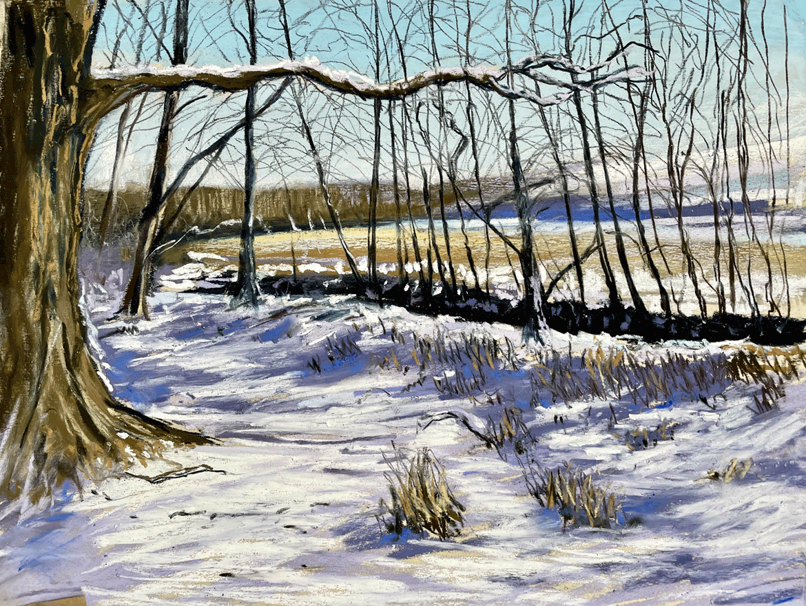 Snowy Woodland - Online Art Workshops - draw along in real time - Soft Pastel Workshop