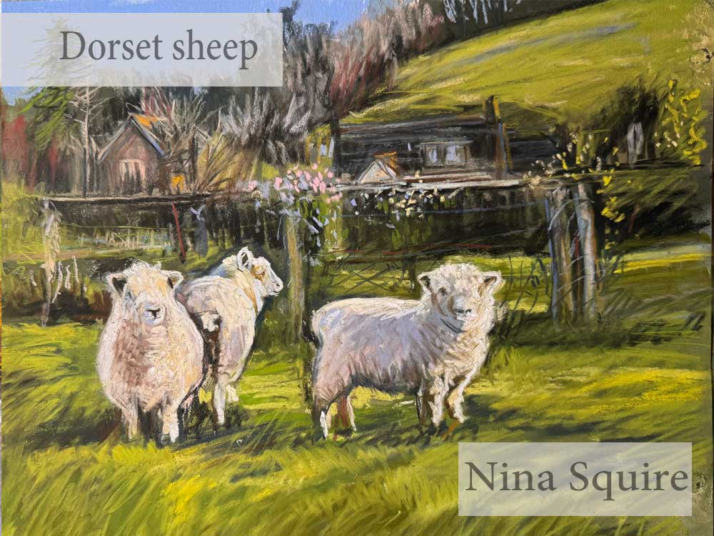 Pastel painting of Dorset sheep in a rural landscape by Nina Squire.