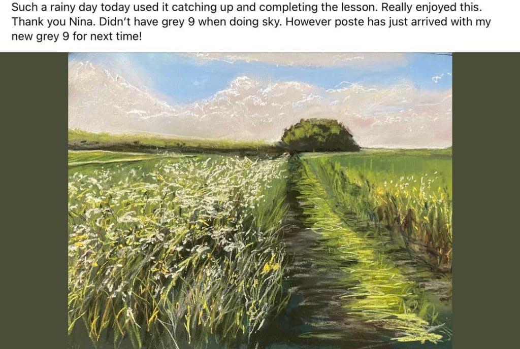 Soft pastel painting workshop - students work - summer hedgerows in soft pastel