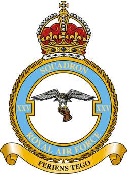 No. 25 Squadron