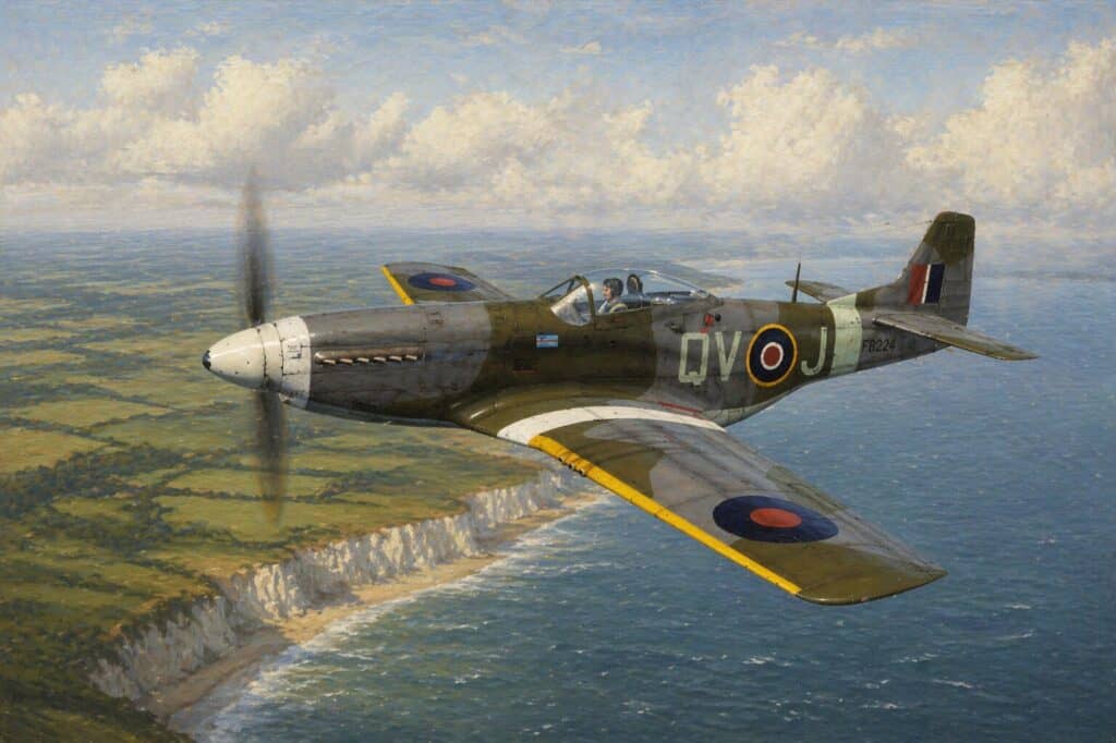 19 Squadron RAF: From First Spitfires to Boulmer