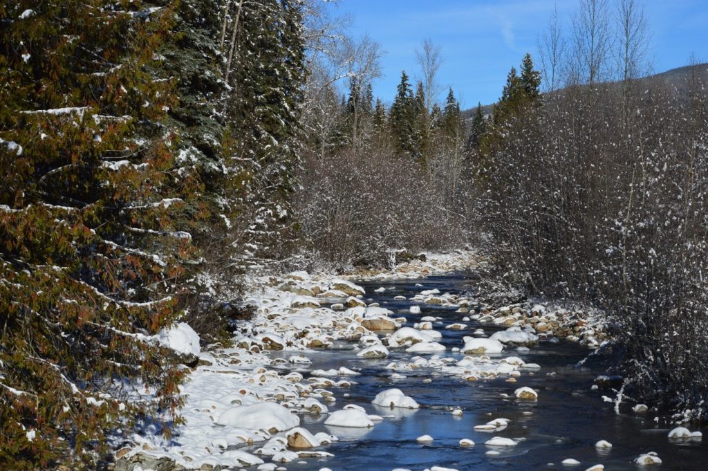 creek in winter