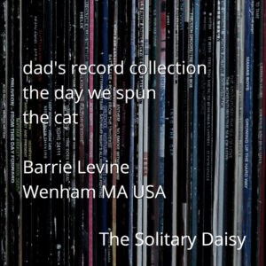 Close-up of vinyl records lined up vertically with white text overlaid, listing a title, author, location, and "The Solitary Daisy.