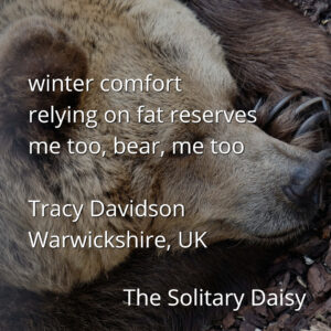 Close-up of a sleeping brown bear, accompanied by a haiku and credit text overlayed on the image.