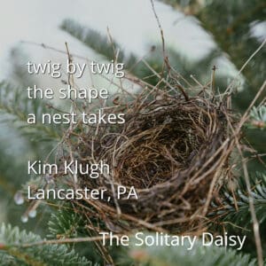 Close-up of a bird's nest built in the branches of an evergreen tree, with a short poem and author credit overlaid on the image.
